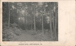 Lovers Lane, Lake Winola Postcard