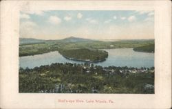 Bird's-eye View, Lake Winola Postcard