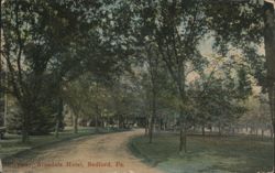 Driveway Arandale Hotel Postcard