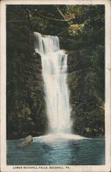 Lower Buckhill Falls Postcard