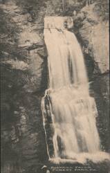 Bushkill Falls, Forest Park Postcard
