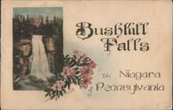 Bushkill Falls, The Niagara of Pennsylvania Postcard