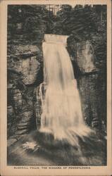 Bushkill Falls, The Niagara of Pennsylvania Postcard