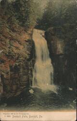 Bushkill Falls Postcard