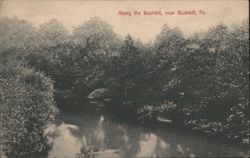 Along the Bushkill, near Bushkill, PA Postcard