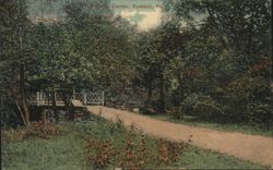 The Cosey Corner, Wooded Path and Bridge Postcard