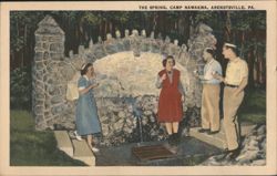 The Spring, Camp Nawakwa, Arendtsville, PA Postcard
