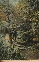 Stock #1184579 Thumbnail