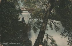 Falls, Dushore, PA Postcard