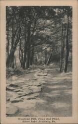 Woodland Path, Camp Red Cloud, Silver Lake Postcard