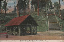Famous Spring, Brandywine Springs Park Postcard