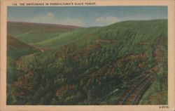 The Switchback in Pennsylvania's Black Forest Postcard