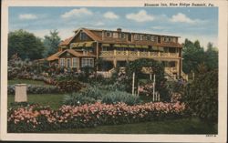 Blossom Inn, Blue Ridge Summit Postcard