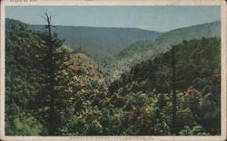 Stock #1184794 Thumbnail