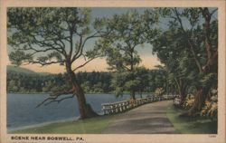Scene Near Boswell, PA. Postcard