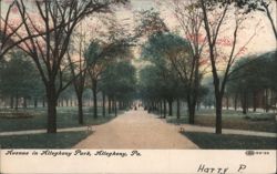 Avenue in Allegheny Park Postcard
