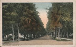 East Avenue, Vineland, NJ Postcard