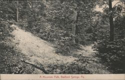 A Mountain Path, Bedford Springs, PA Postcard