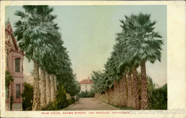 Palm Drive, Adams Street Los Angeles California