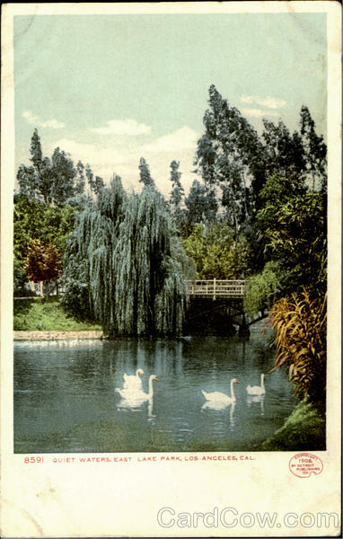 Quiet Waters, East Lake Park Los Angeles California