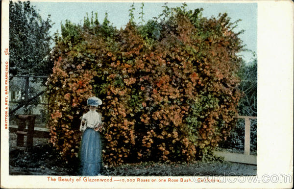 The Beauty Of Glazenwood Scenic California