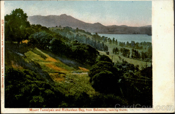 Mount Tamalpais And Richardson Bay Belvedere California