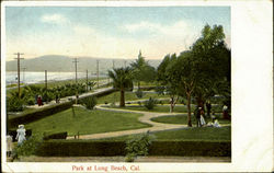 Park At Long Beach Postcard