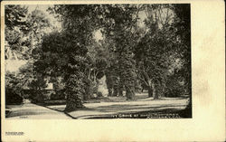 Ivy Grove At Hotel Monterey Postcard