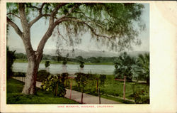 Lake Merritt Postcard