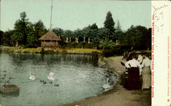 Rustio Pavilion, Westlake Park Postcard