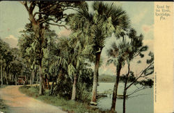 Road By The River Postcard