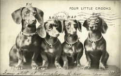 Four Little Crooks Daschunds Four Little Crooks Daschunds