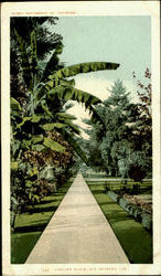 Chester Place Postcard
