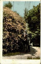 Stock #83451 Thumbnail