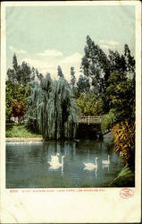 Quiet Waters, East Lake Park Postcard