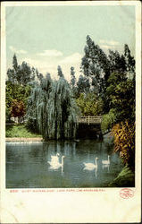 Quiet Waters, East Lake Park Los Angeles, CA Postcard Postcard