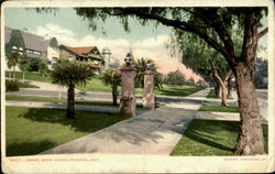 Orange Grove Avenue Postcard