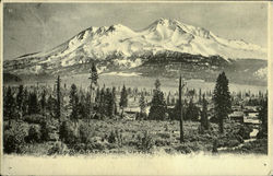 Mt. Shasta From Upton Postcard