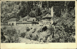 Shasta Springs Postcard