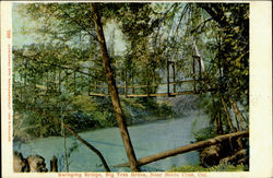 Swinging Bridge Big Tree Grove Santa Cruz, CA Postcard Postcard