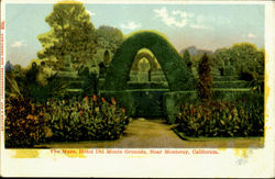 The Maze Postcard