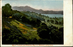 Mount Tamalpais And Richardson Bay Belvedere, CA Postcard Postcard