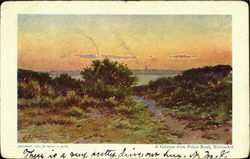 A Glimpse, Polpis Road Postcard