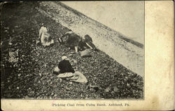 Picking Coal From Culm Bank Postcard