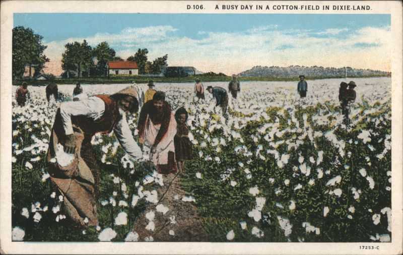 A Busy Day in a Cotton Field in Dixie Land Black Americana