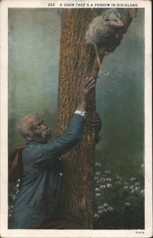A Coon Tree's a Possum in Dixieland Black Americana