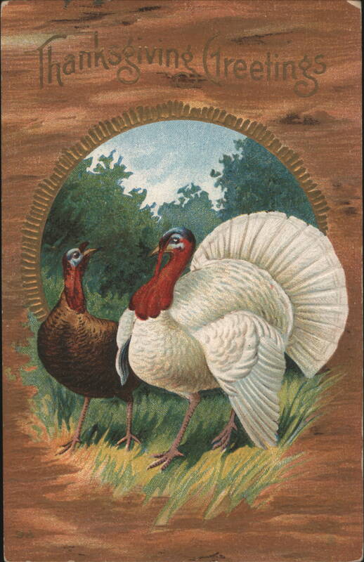 Thanksgiving Greetings with Turkeys