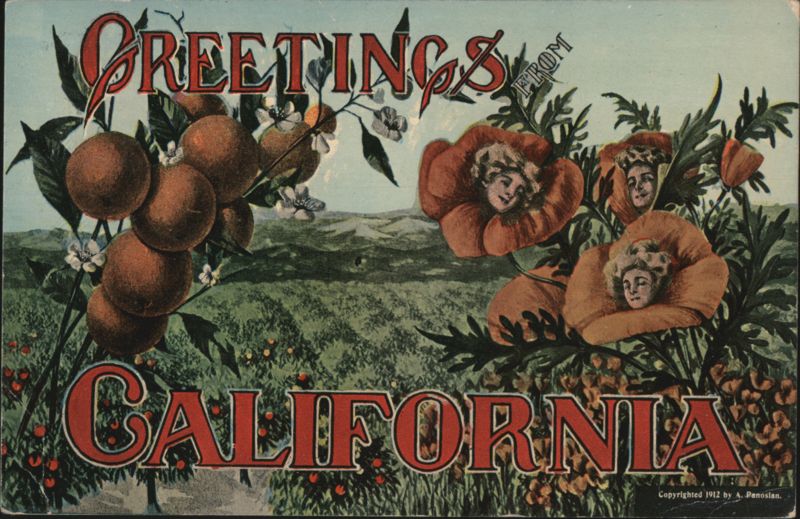 Greetings From California Oranges and Poppies with Women's Faces
