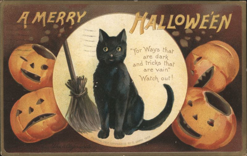 A Merry Halloween Black Cat with Jack-O'-Lanterns and Broom