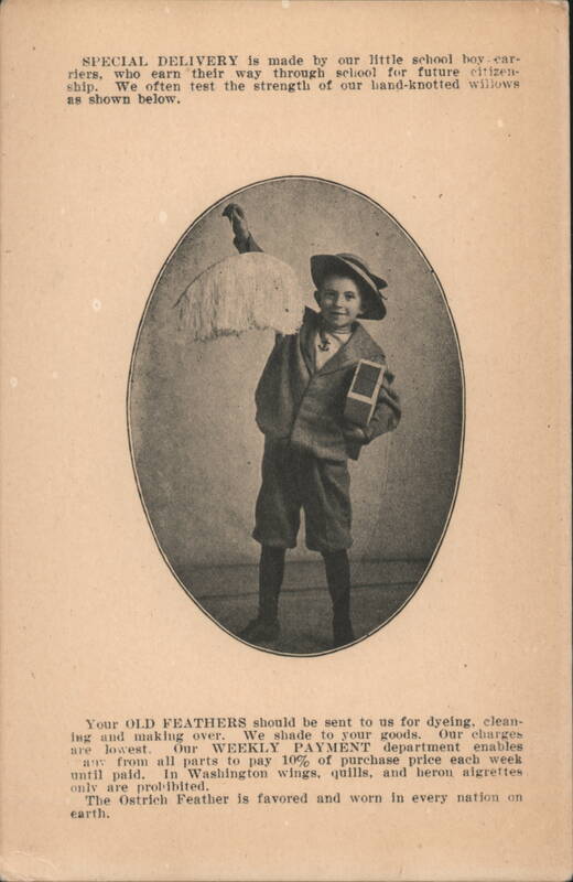 Ostrich Feather Dyeing and Cleaning Service with School Boy Carrier